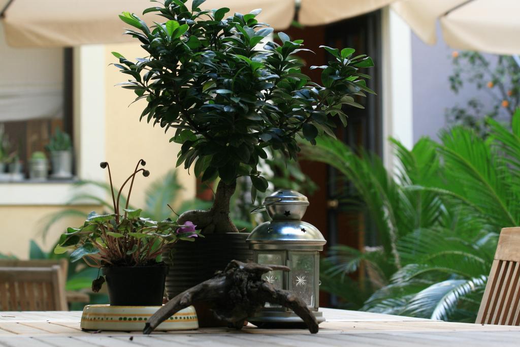 Casa Barbero Charme B&B CTA Exterior photo